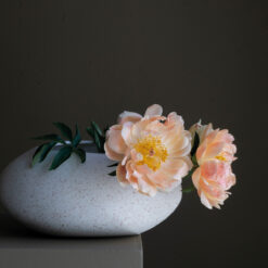 Alternative view of RAUS Egg, Spettet-Hvit