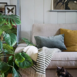 Alternative view of Stripepledd 100% Ull, Mørk Grønn