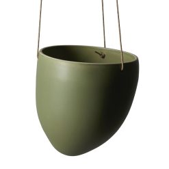 Ampel Medium, Grønn