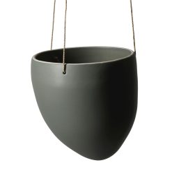 Ampel Medium, Mosegrå