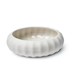 bilde av kråkebolle i porselen, hvit