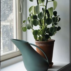 Alternative view of RAUS Mugge, Mørk Lågen