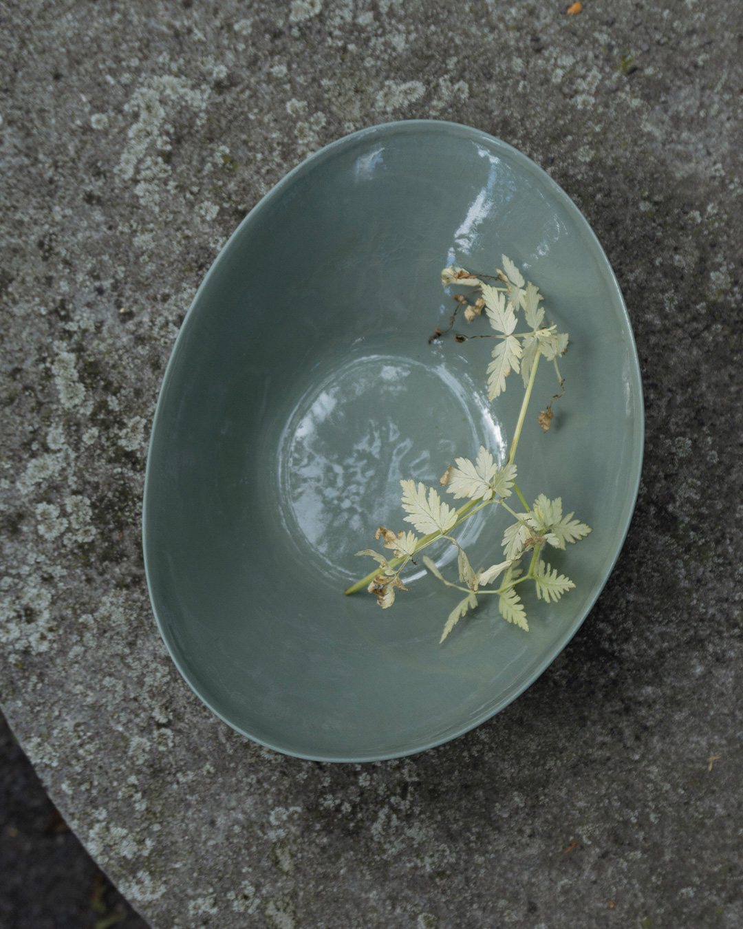 KRUM Salatbolle, Lågen - Bilde 2