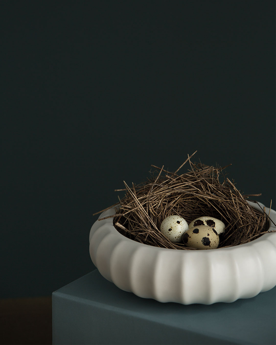 Kråkebolle, Frø - Bilde 3