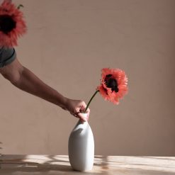 Alternative view of KAGGE, Hvit