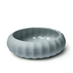 bilde av kråkebolle i porselen, tåkedis