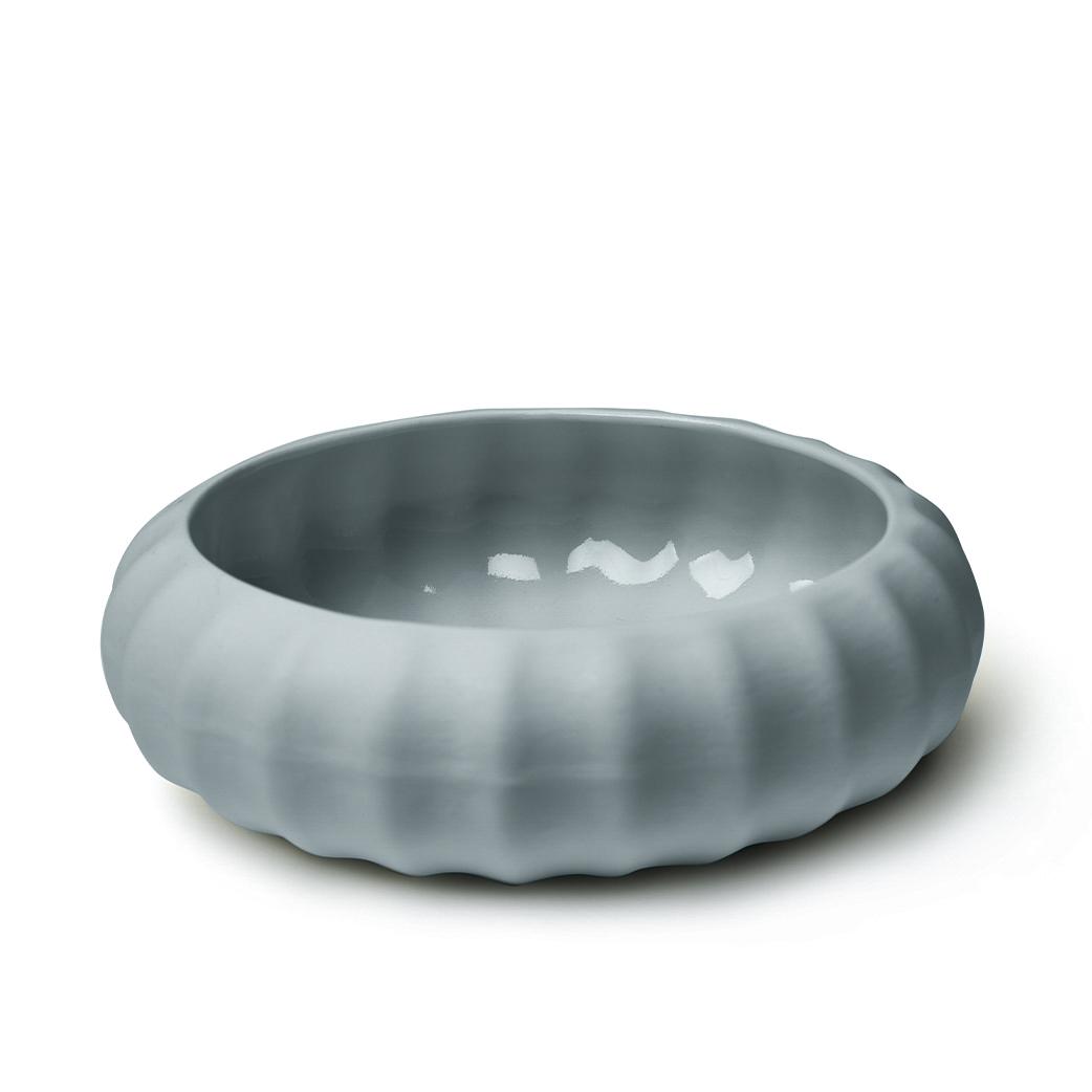 bilde av kråkebolle i porselen, tåkedis