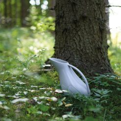 Alternative view of RAUS Mugge, Tåke