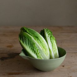 Alternative view of FRØ Bolle stor, Granskudd